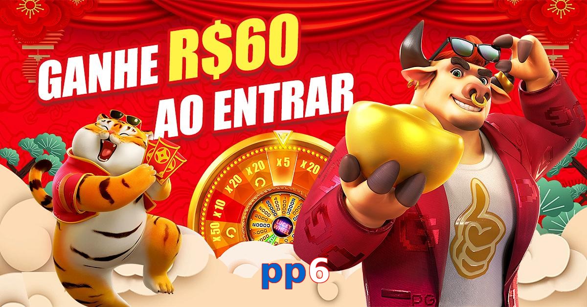 pp6